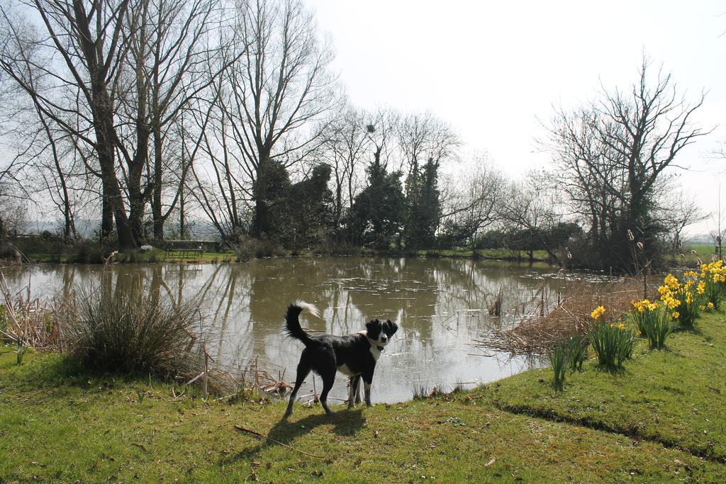 Blatches Farm Hotel Great Dunmow Buitenkant foto